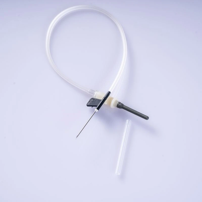 product-800-800